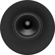 Sony BRAVIA Theater Rear 9 Speaker - SARS9