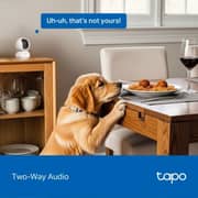 Tapo Pan/Tilt Home Security Wi-Fi Camera - C250