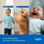 Tapo Pan/Tilt Home Security Wi-Fi Camera - C250