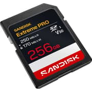 SanDisk Extreme PRO UHS-I SDXC Memory Card 256GB Black - SDSDXXJ-256G-GSCIN - International Version
