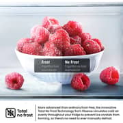 Hisense Bottom Mount Refrigerator 304L Silver - RB3N390NDC1