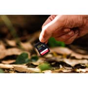 Sandisk Extreme Pro SD Memory Card 128GB Black - SDSDXXJ-128G-GSCIN
