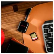 Sandisk Extreme GO UHS-I SD Card 128GB Grey - SDSDXGN-128G-GNCIN