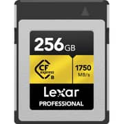Lexar Professional CFexpress Type-B GOLD Series Card 256GB Black - LCXEXPR256G-RNENG