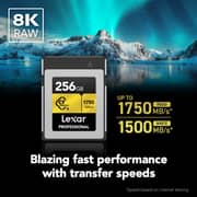 Lexar Professional CFexpress Type-B GOLD Series Card 256GB Black - LCXEXPR256G-RNENG