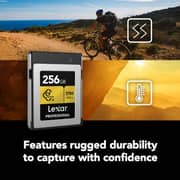 Lexar Professional CFexpress Type-B GOLD Series Card 256GB Black - LCXEXPR256G-RNENG