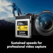 Lexar Professional CFexpress Type-B GOLD Series Card 256GB Black - LCXEXPR256G-RNENG