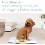 Beurer BY80 Accurate Infant and Pet Weight Monitor with Hold Function
