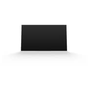 Sony 55A1 4K UHD Smart OLED Television 55inch (2018 Model)