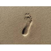 Canon PowerShot SX720 HS Digital Camera Red