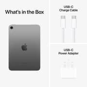 iPad mini (2024) Wi-Fi 256GB - Space Grey Middle East Version with FaceTime