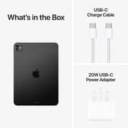 11-inch iPad Pro M4 (2024) Wi-Fi 1TB with nano-texture glass - Space Black Middle East Version with FaceTime