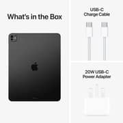 13-inch iPad Pro M4 (2024) Wi-Fi + Cellular 256GB with standard glass - Space Black Middle East Version with FaceTime