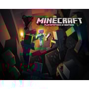 PS4 Minecraft Game