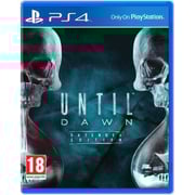 PS 4 Until Dawn Game