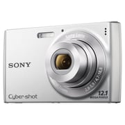 Sony Cyber-shot DSC-W510 Digital Camera Silver