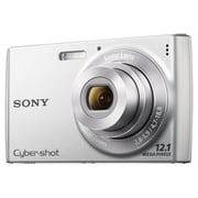 Sony Cybershot DSCW150 8.1MP Digital Camera with 5x Optical Zoom with Super  Steady Shot (Silver)