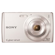 Sony Cybershot DSCW150 8.1MP Digital Camera with 5x Optical Zoom with Super  Steady Shot (Silver)