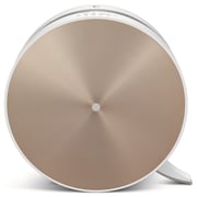 LG Air Purifier AS40GVGG0