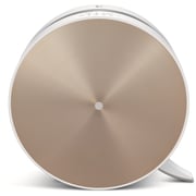 LG Air Purifier AS40GVGG0