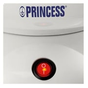 Princess Cotton Candy Bundle Offer PRN.2993