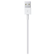 Apple Lightning To USB Cable 0.5M White