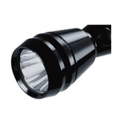 Sanford SF2638SL2AA Flash Light