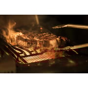 Napoleon Gas Grill LEX485RSIBPSSDE