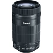 Canon EF-S 55-250mm F/4-5.6 IS STM Lens