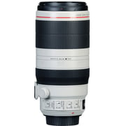 Canon EF 100-400MM 4.5-5.6L IS II USM Lens
