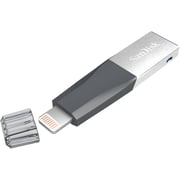 Sandisk SDIX40N128GGN6NE IXpand Mini Flash Drive 128GB