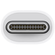 Apple MMEL2ZM/A Thunderbolt 3 USB-C To Thunderbolt 2 Adapter