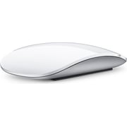 Apple MB829ZM/B Magic Mouse