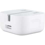 Apple MGRL2B/A 5W Folding Pins USB Power Adapter