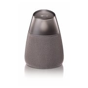 LG PH3 Bluetooth Speaker Grey