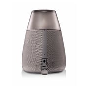 LG PH3 Bluetooth Speaker Grey