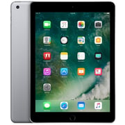 iPad (2017) WiFi 32GB 9.7inch Space Grey with FaceTime International Version
