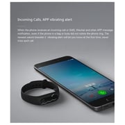 Xiaomi Mi Band 2 Smart Fitness Band Black - XMSH04HM