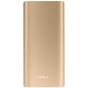 Iwalk Power Bank 10000mAh Metal Gold UBC10000
