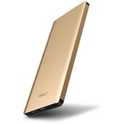 Iwalk Power Bank 10000mAh Metal Gold UBC10000