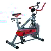 Skyland Spining Exercise Bike EM1544