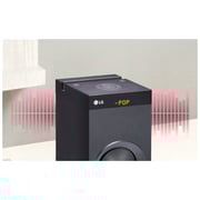 LG FJ1 Party Audio System Black