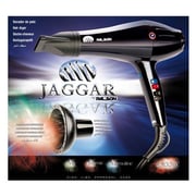Palson Jaggar Hair Dryer 30097