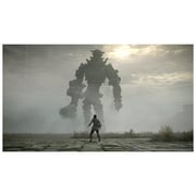 PS4 Shadow Of Colossus Game