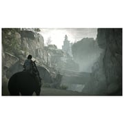 PS4 Shadow Of Colossus Game
