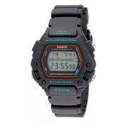 Casio DW-290-1VS Classic Unisex Watch