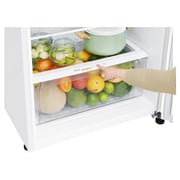 LG Top Mount Refrigerator 490 Litres GNC492SQCN