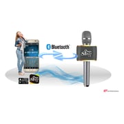 Magic Sing MP30 Mobile Karaoke Microphone