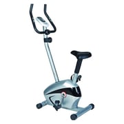 Skyland EM-1527 Magnetic Bike