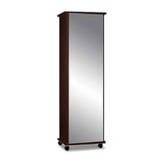 Mirrored Shoe Cabinet (Brown)